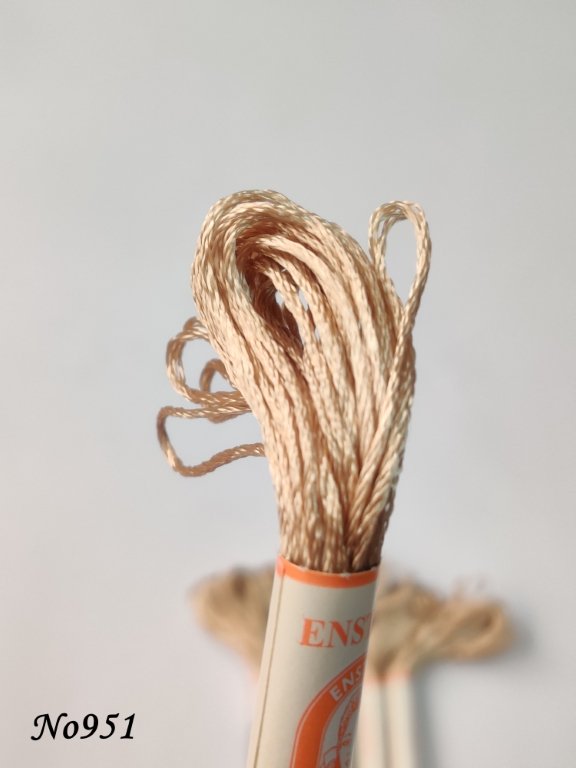 951 (DMC738) (1) (Medium)